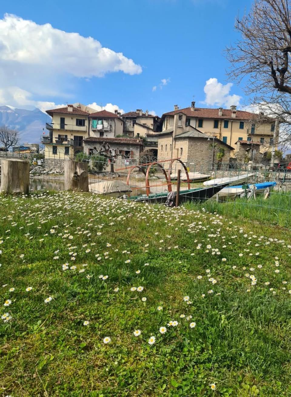 Apartment L'Ulivo Lake View Private Road 5 Kilometers From Varenna Lierna Exterior foto