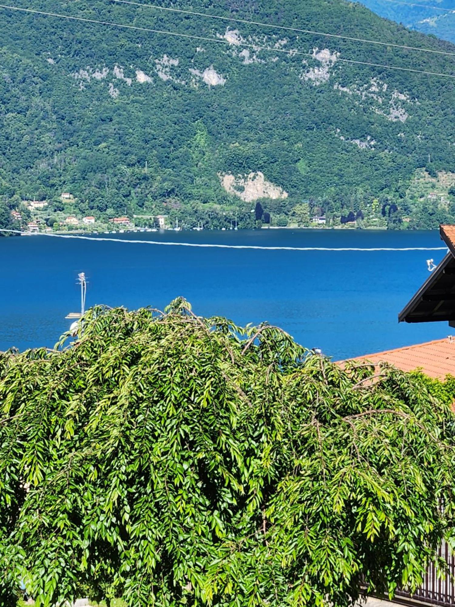 Apartment L'Ulivo Lake View Private Road 5 Kilometers From Varenna Lierna Exterior foto