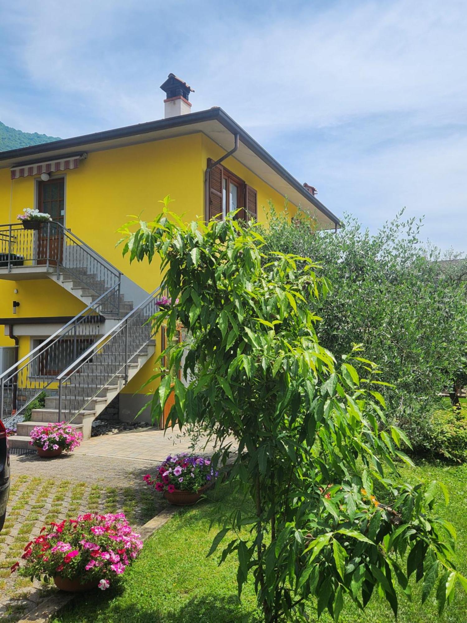 Apartment L'Ulivo Lake View Private Road 5 Kilometers From Varenna Lierna Exterior foto